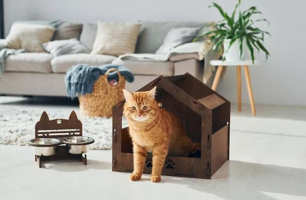 SHOWING YOUR HOME WITH PETS: PREPARING YOUR HOME FOR BUYERS