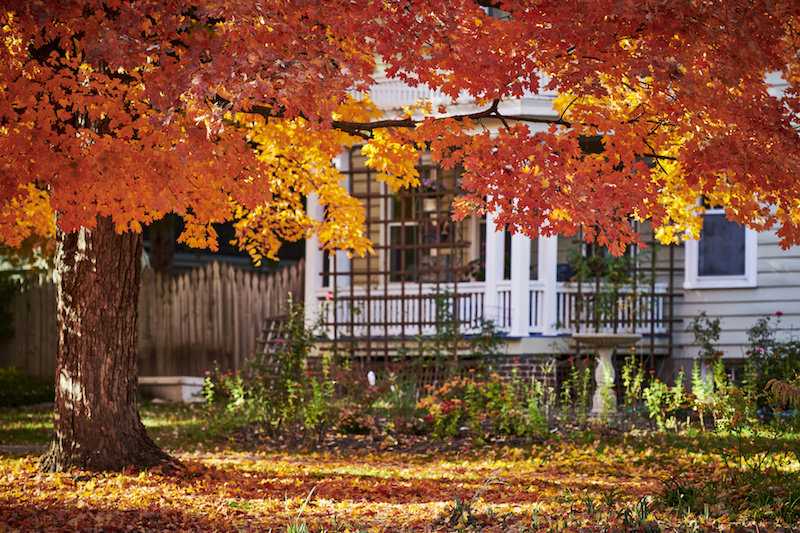 Fall Real Estate Tips: Make the Most of the Autumn Market